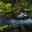 White Salmon River
